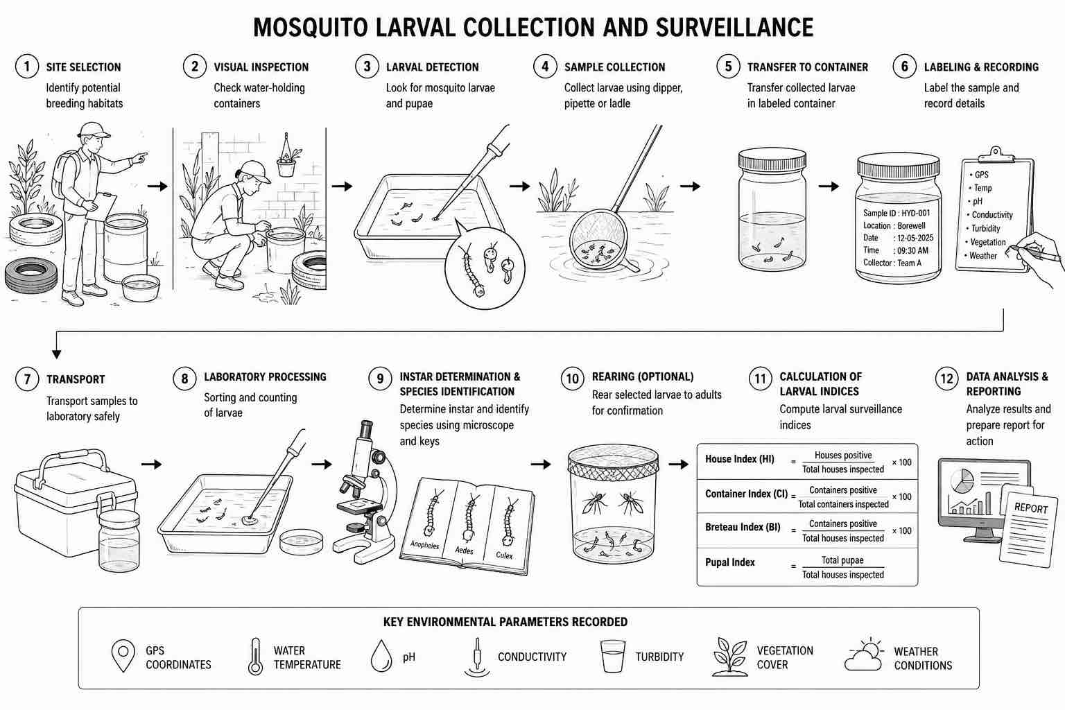 Importance of Mosquito Larval Surveys